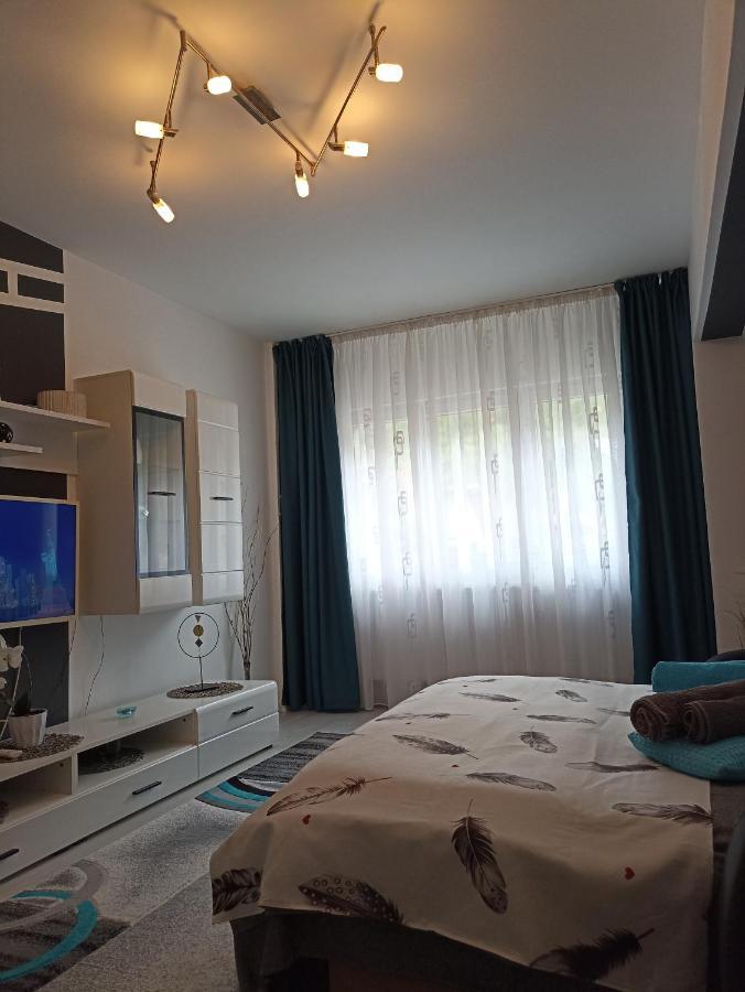 Apartament Sofy2 Беїле-Херкулане Екстер'єр фото