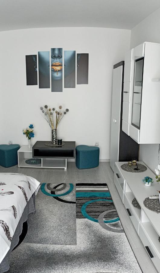 Apartament Sofy2 Беїле-Херкулане Екстер'єр фото