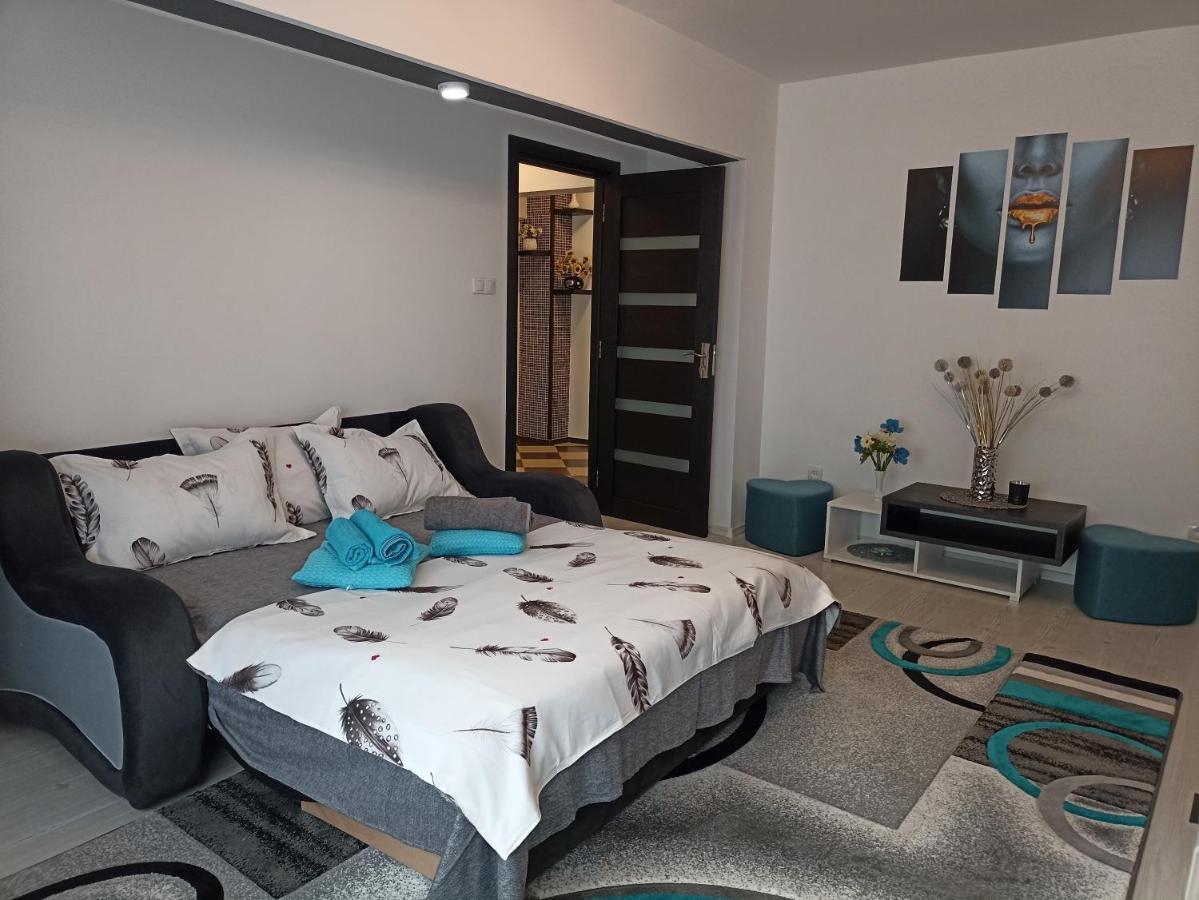 Apartament Sofy2 Беїле-Херкулане Екстер'єр фото